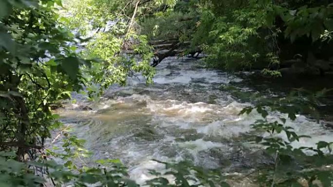 River at Park Visitation,蒙特利尔,魁北克