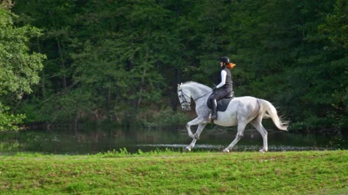 SLO MO TS女人骑着马沿着湖边慢跑