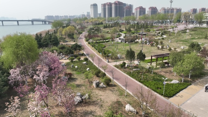 临沂沂河 滨河大道航拍素材 公园春天