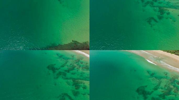 斯里兰卡海岸绿海上空的追踪镜头