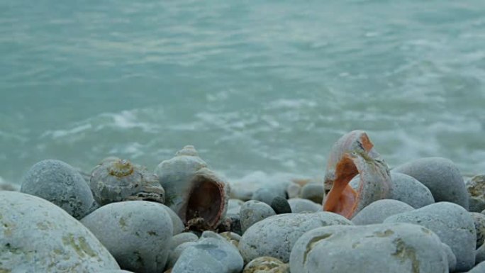 岩石和贝壳背景下的海上冲浪