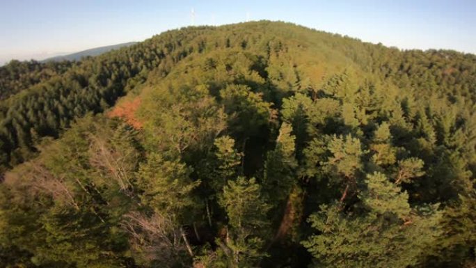 空中高速无人机拍摄山地车手在森林中骑行