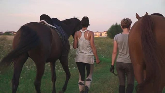 两个女孩在野外道路上驾驶两匹马