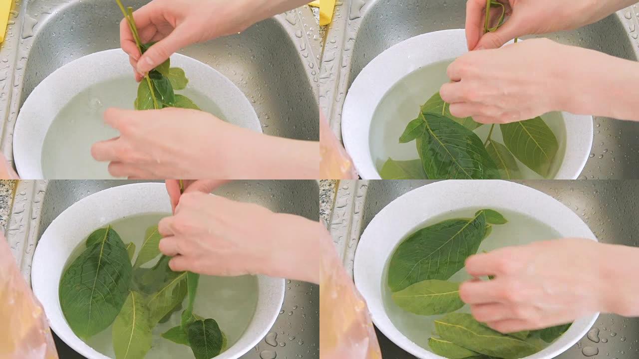 核桃叶的清洗洗菜实拍特写镜头