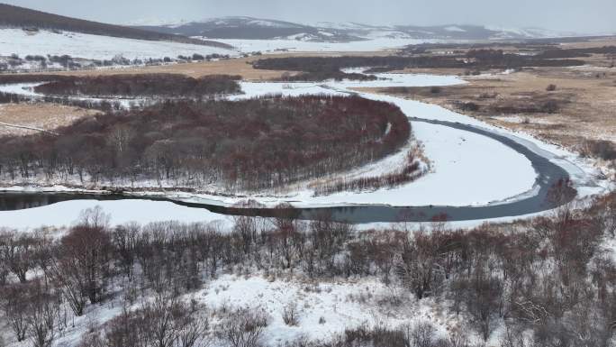 不冻河风景雪野红毛柳