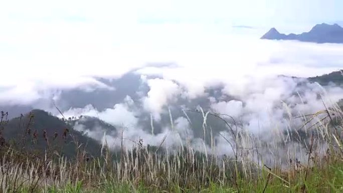 泰国富芝法热带雨林中的薄雾和雾。山脉和丛林中的高度湿度。