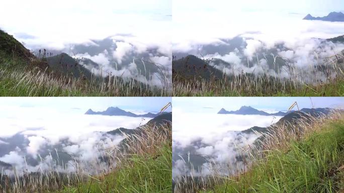 泰国富芝法热带雨林中的薄雾和雾。山脉和丛林中的高度湿度。