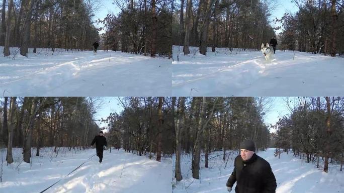 主人正在冬天的森林里和一只狗一起散步。