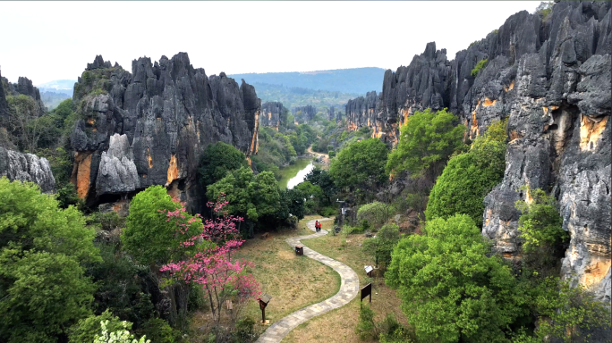 【4K】乃古石林风景区