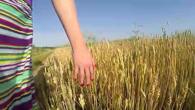 爱抚小麦的女人