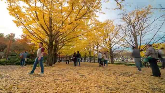 延时: 日本东京立川花园的行人拥挤