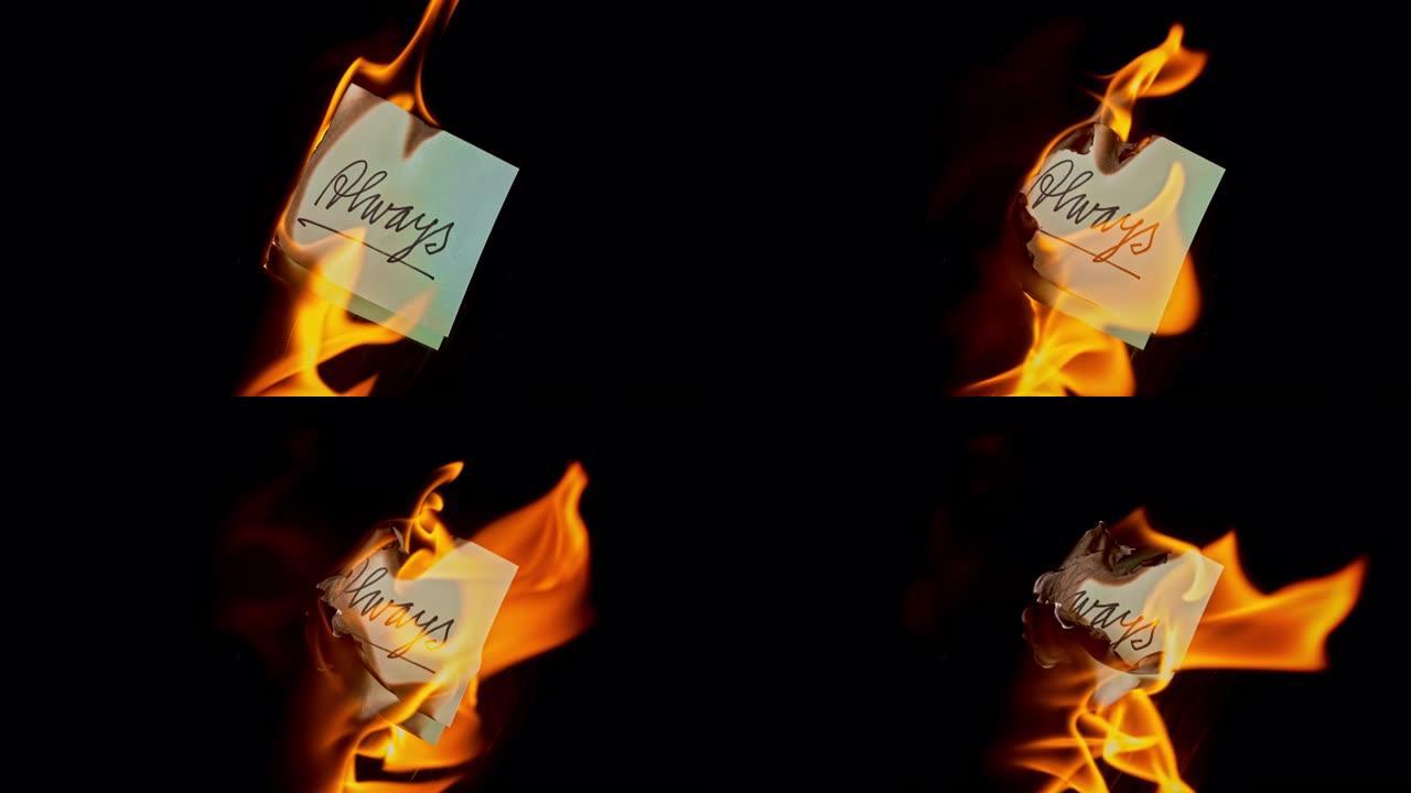 SLO MO LD蓝纸，上面刻有 “always” 字样，在火焰中燃烧