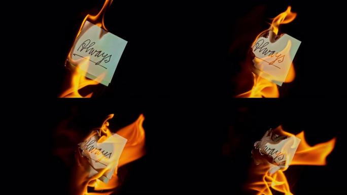 SLO MO LD蓝纸，上面刻有 “always” 字样，在火焰中燃烧