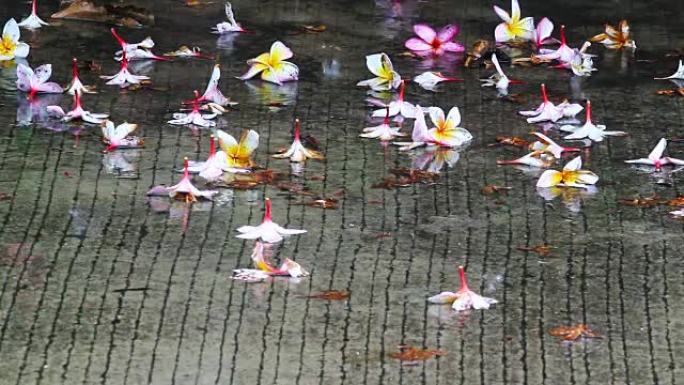 泰国季风季节降雨