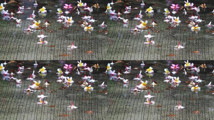 泰国季风季节降雨