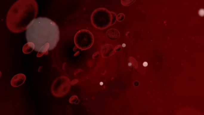 血细胞在静脉-3D医疗股票动画。循环