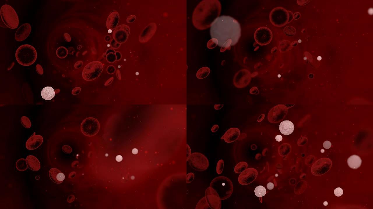 血细胞在静脉-3D医疗股票动画。循环