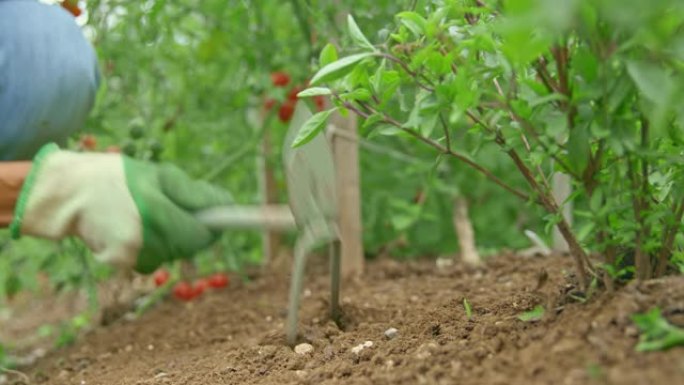 园丁用手叉和马托克除草花园