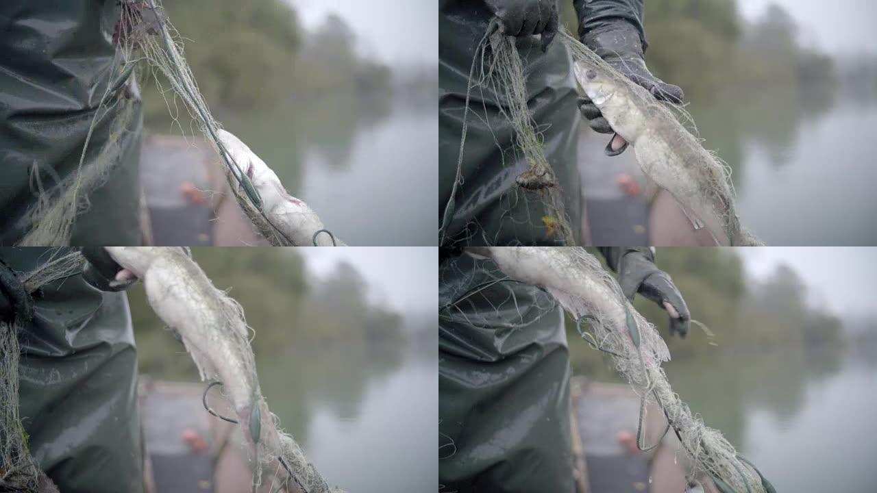渔夫拉起网中捕获的鱼
