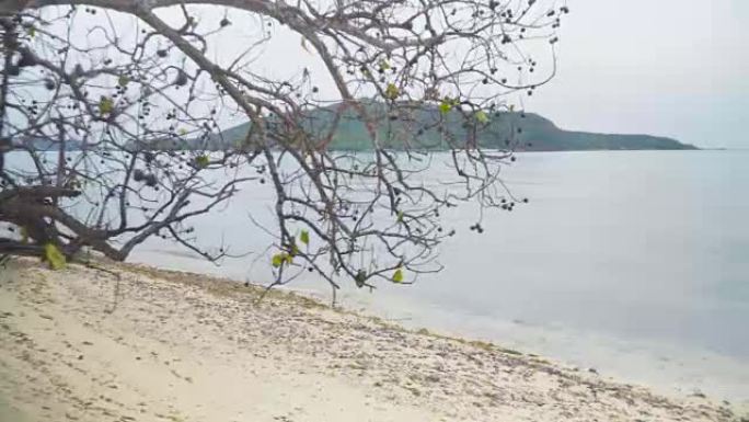 萨马沙恩岛热带海滩上的brach tre