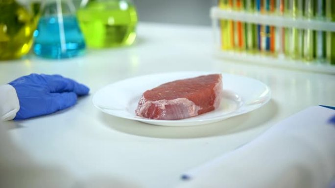 研究人员检查肉类样品和书写结果，蠕虫检查