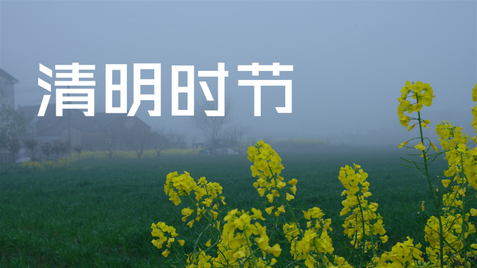 清明时节雨纷纷