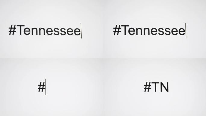 一个人在他们的计算机屏幕上键入 “# Tennessee”，然后跟随状态缩写