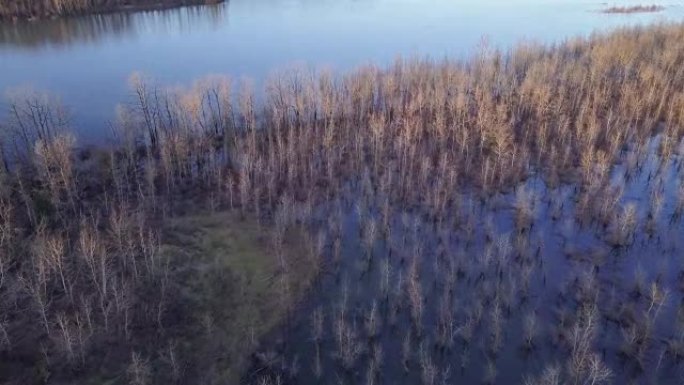 空中飞行覆盖着无叶树木的被洪水淹没的岛屿