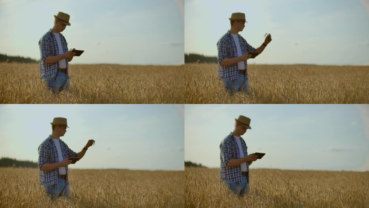 在麦田里，一个戴着帽子的年轻农民用手指触摸着谷物，看着豆芽，并按在电脑屏幕上。