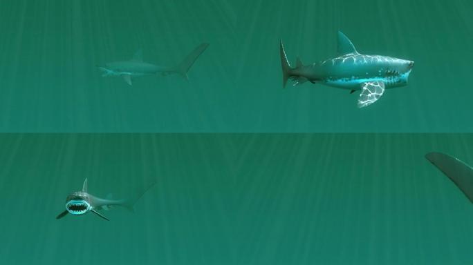 大白鲨系列高清海底生物海底游鱼海底美景