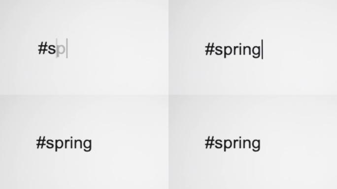 一个人在他们的电脑屏幕上输入 “# spring”