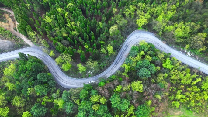 航拍一辆小汽车行驶在崎岖蜿蜒的森林山路上