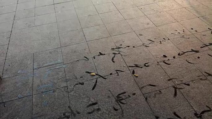 在地面上的正方形中使用毛笔书写