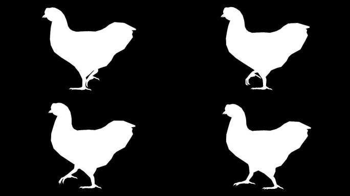 鸡移动动物轮廓 (可循环)