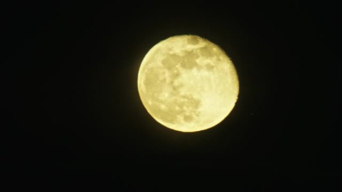 当喷气式飞机在月亮和相机之间飞行时，一个几乎满月的大月 (变圆的凸块) 发出黄色的光芒