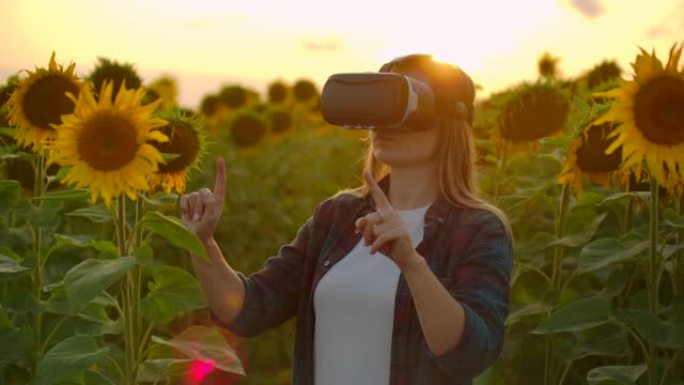 女农民经理戴着VR眼镜在向日葵地里工作