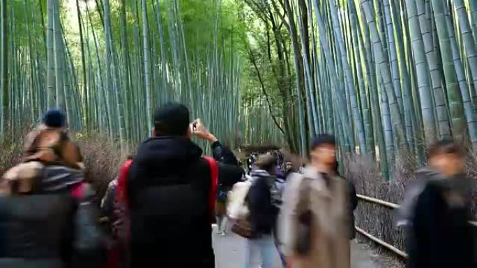在岚山竹林的人群景区人流景区延时旅游人流