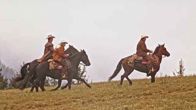 SLO MO TS三名牛仔在疾驰中骑马