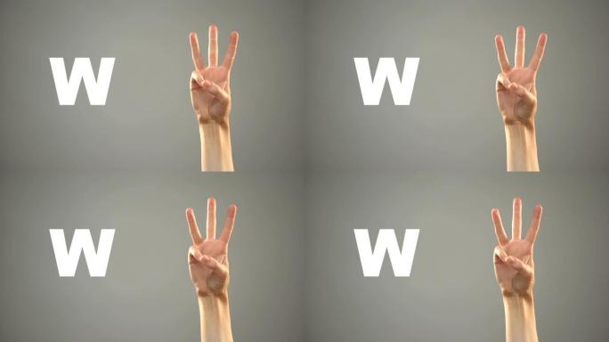 手语字母W，手提背景，聋人交流，课程