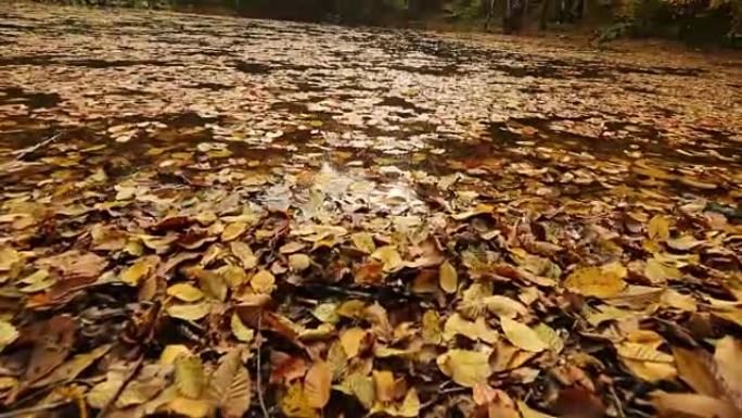 秋天和湖景秋天行走延时步行秋叶