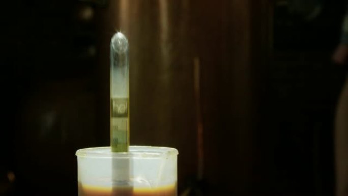 一个人使用烈性比重计来测量酿酒厂中朗姆酒的ABV (酒精体积)