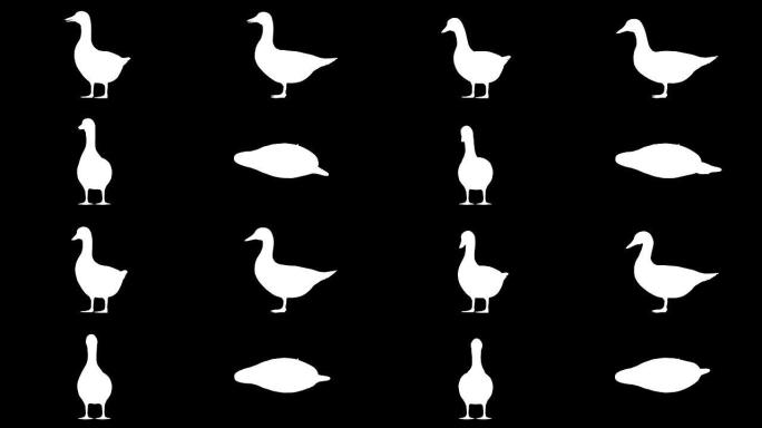鸭子闲置轮廓 (可循环)
