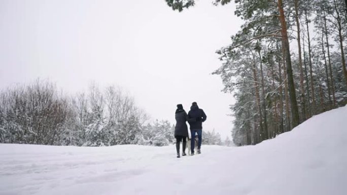 充满爱心的男人和女人在冬季森林中与西伯利亚哈士奇一起行走，微笑着看着对方慢动作快乐的家庭。从后面看