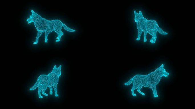 蓝色全息线框德牧犬动画素材带通道
