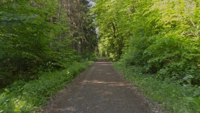 在德国自然保护区的一条道路上拍摄的空中无人机