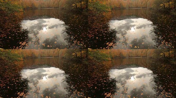 秋天和湖景湖边风景相框视频素材秋天风光