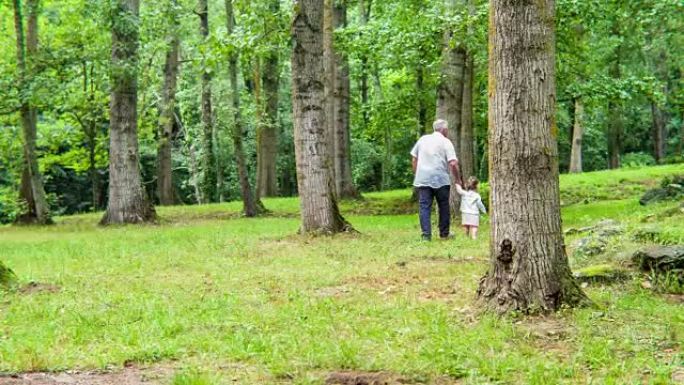 祖父和孙女在森林里牵手散步