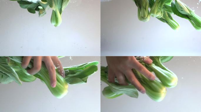 蔬菜 大青菜 洗菜大青菜 食物水里拍摄
