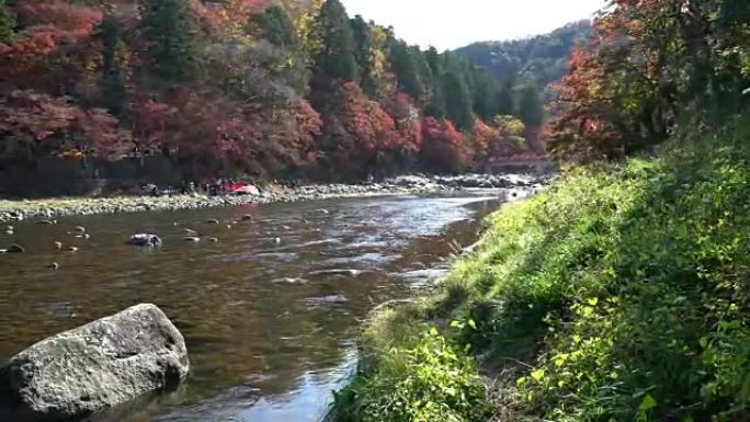 起重机射击: 可兰溪森林公园与秋红离开名古屋日本