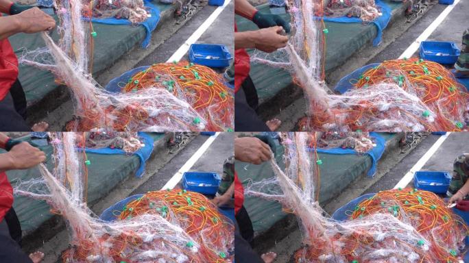渔民在网中分拣鱼